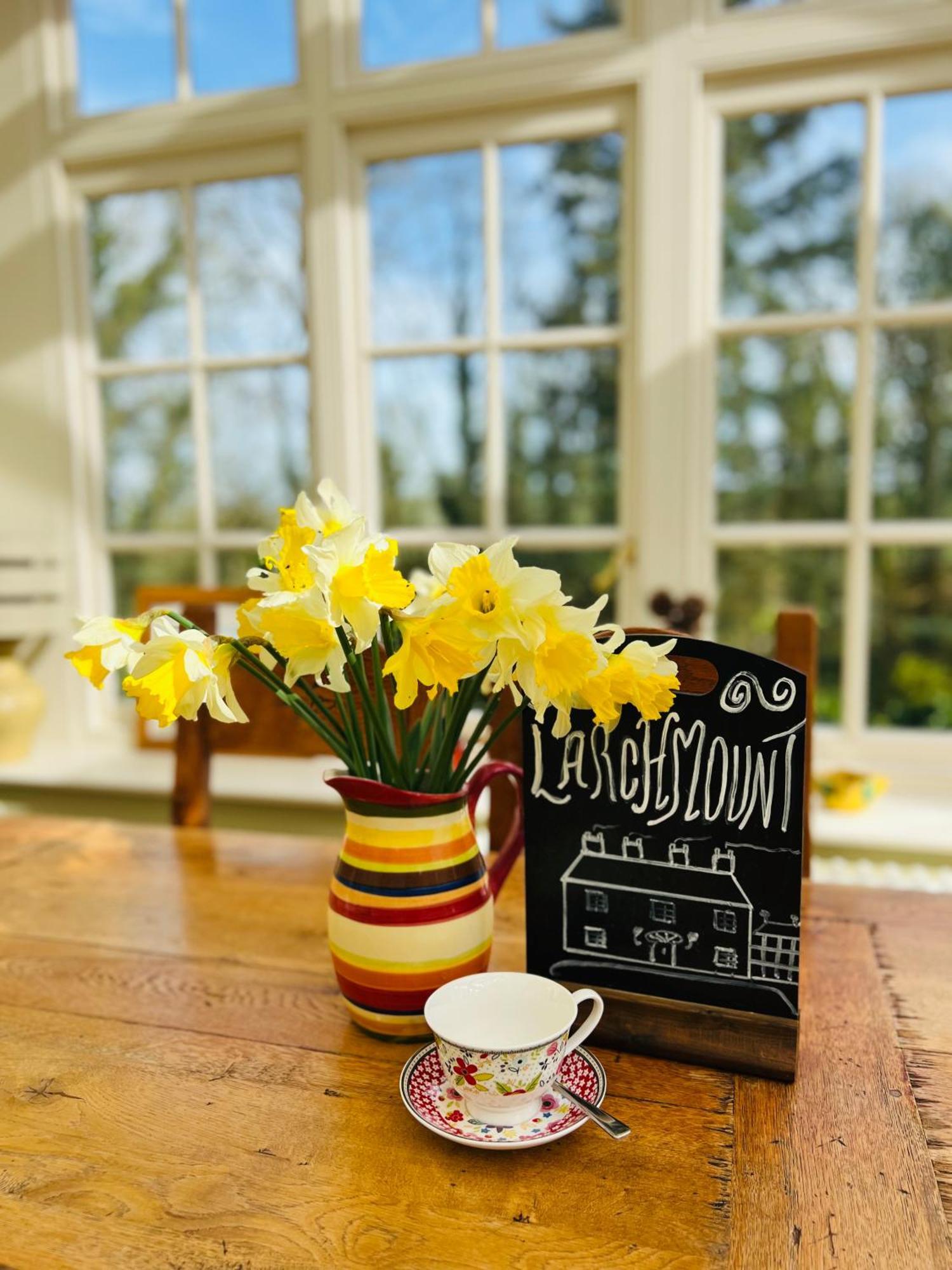 Larchmount House B&B Londonderry Exteriér fotografie